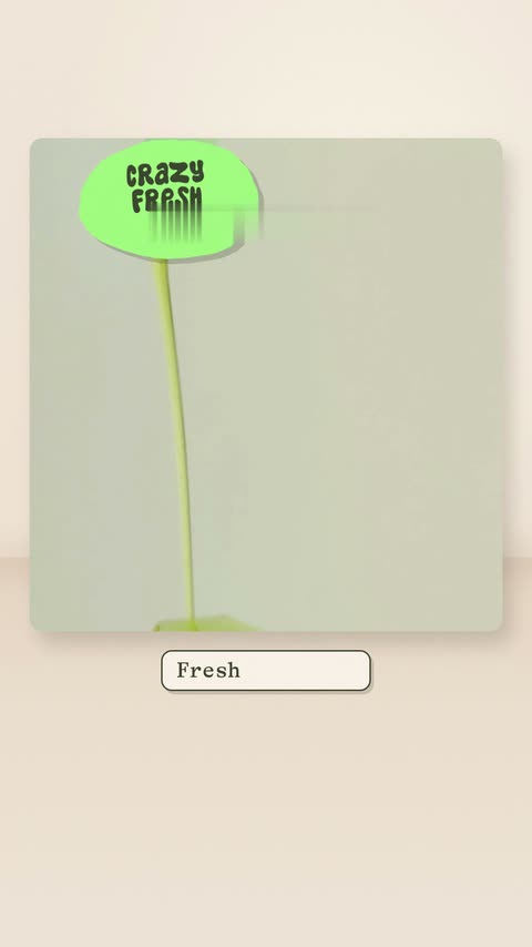 "Crazy fresh", in Graza's own lettering.